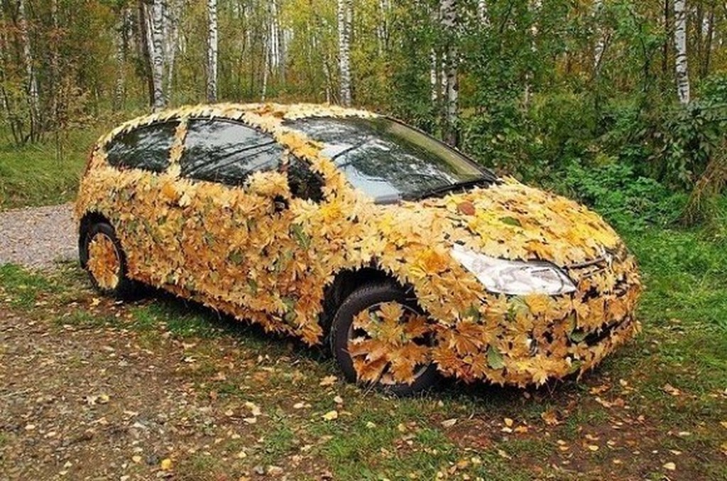 automne-automobile